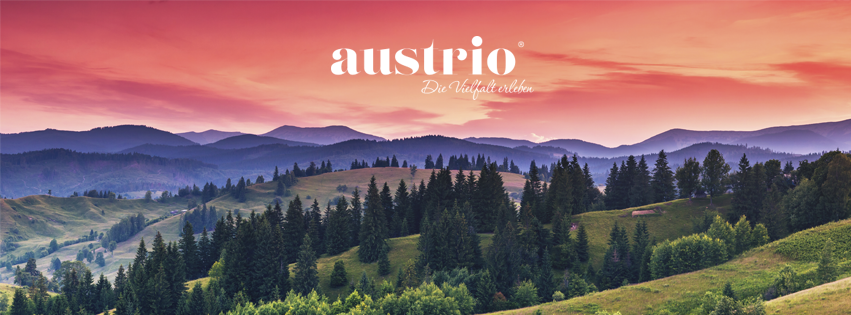 (c) Austrio.at