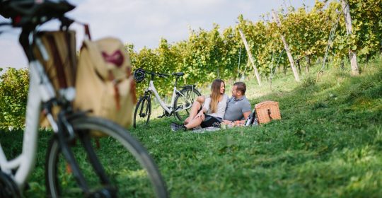 Radfahren in der Steiermark mit Picknick im Weingarten