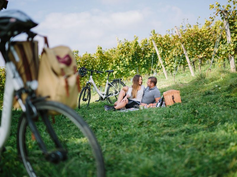 Radfahren in der Steiermark mit Picknick im Weingarten